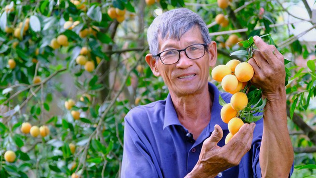 Tính phổ biến
